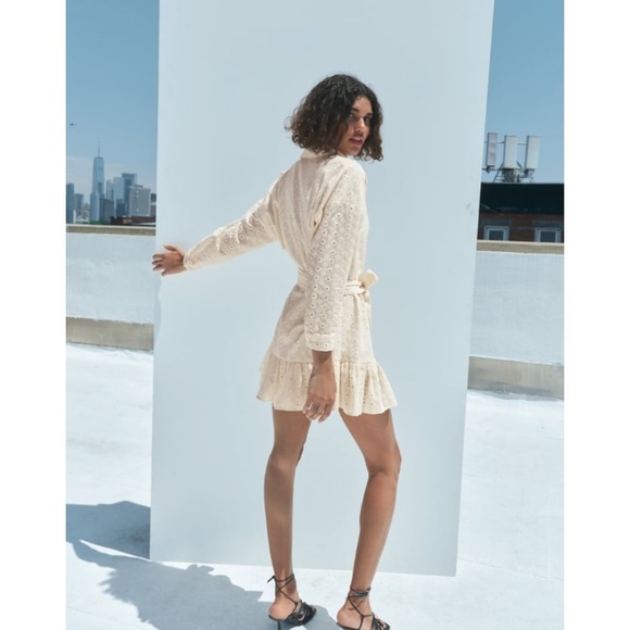 Zara Woman Cutwork Dress - Picture 3 of 7